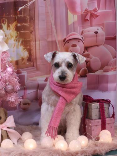 20241221ボルトくん